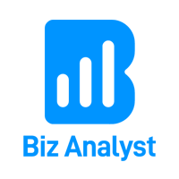 Biz Analyst